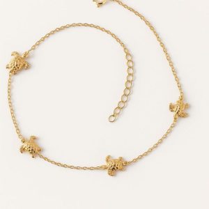 Fußkette Schildkröte
